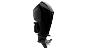 Mercury 250L FourStroke DTS Outboard Motor